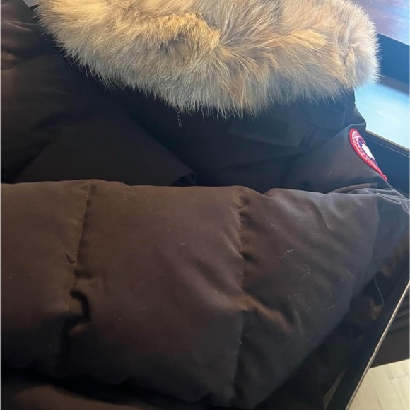 Mystique Canada Goose - Picture 6 of 15